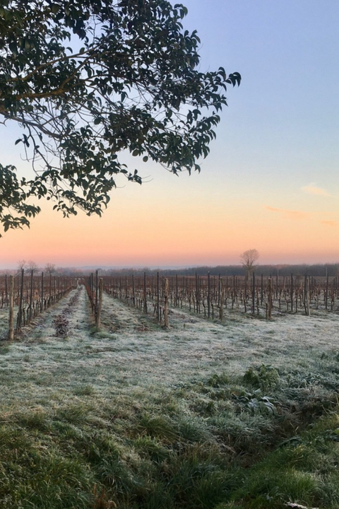 2020 Château La Fleur des Graves 'Graves de Vayres' Bordeaux