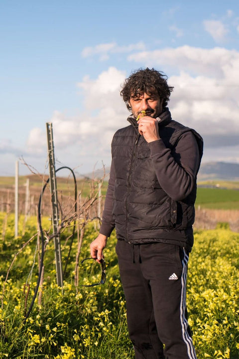 2024 Alessandro Viola Rosé