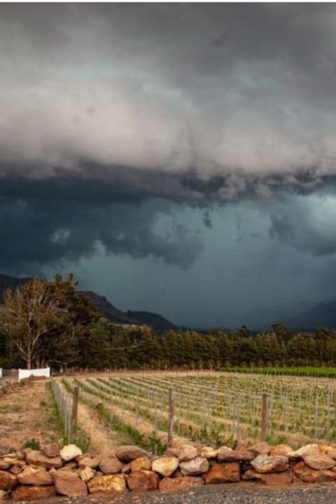 2023 Wildeberg 'Terroirs' Chenin Blanc