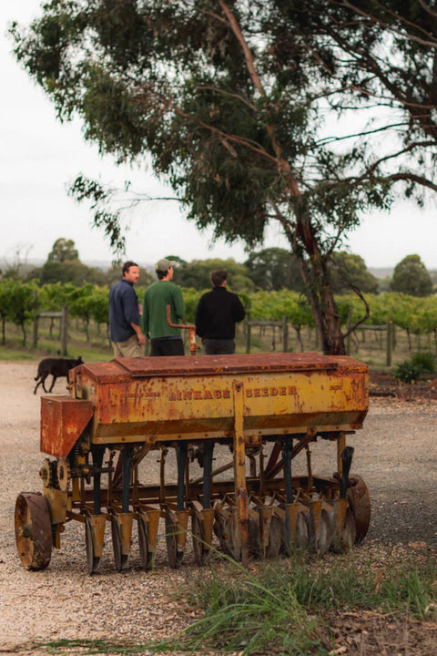 2025 'Gippsland' Chardonnay