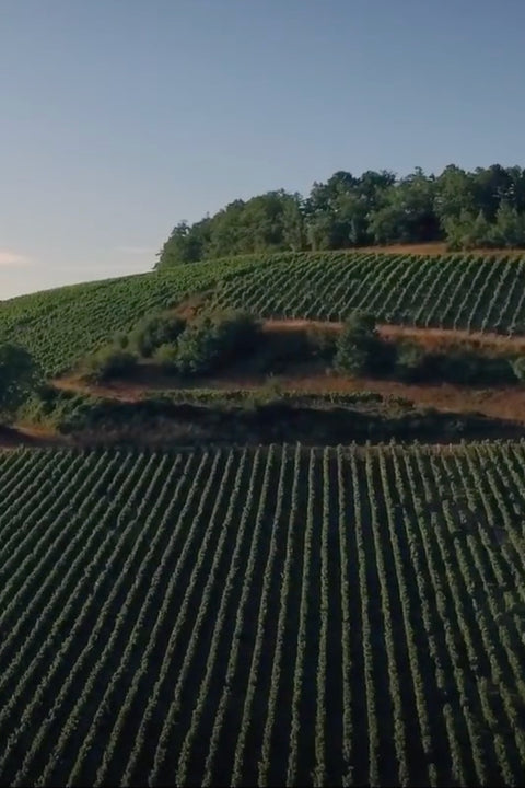 2023 Le Domaine d'Henri 'Saint Pierre' Chablis